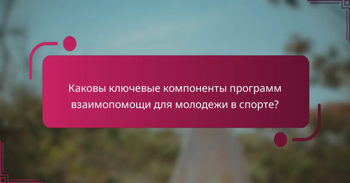 Каковы ключевые компоненты программ взаимопомощи для молодежи в спорте?