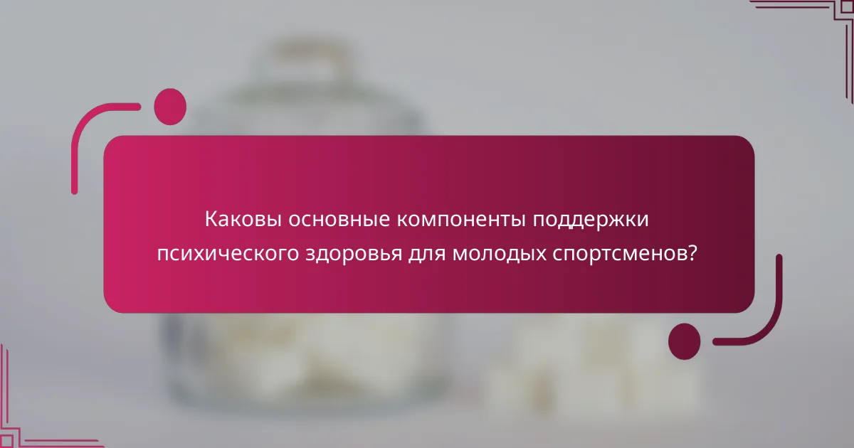 Каковы основные компоненты поддержки психического здоровья для молодых спортсменов?